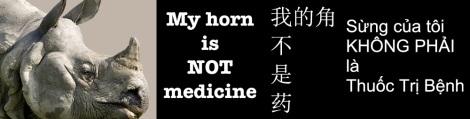 horn not medicine 1