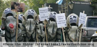 save the rhino world rhino day